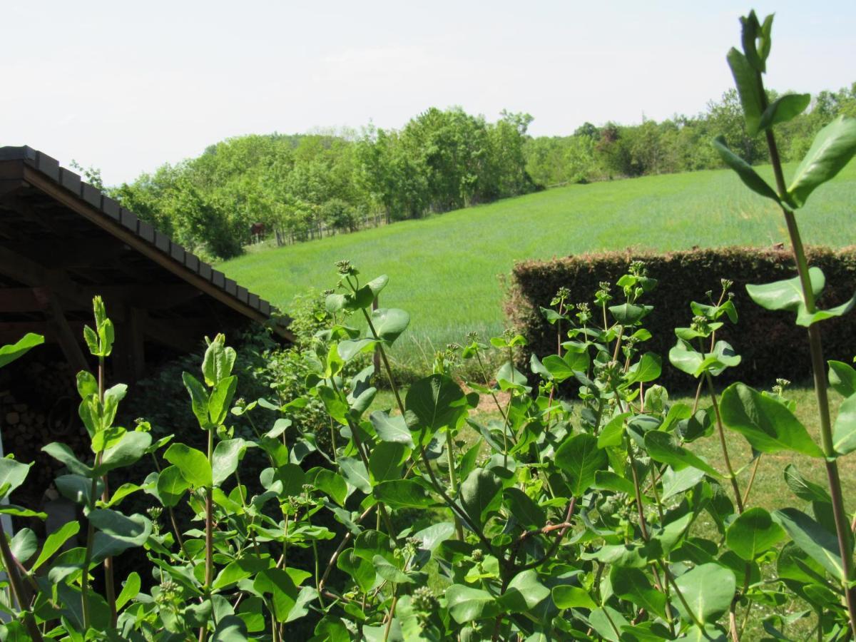 Le Temps D'Une Pause Cessieu 外观 照片